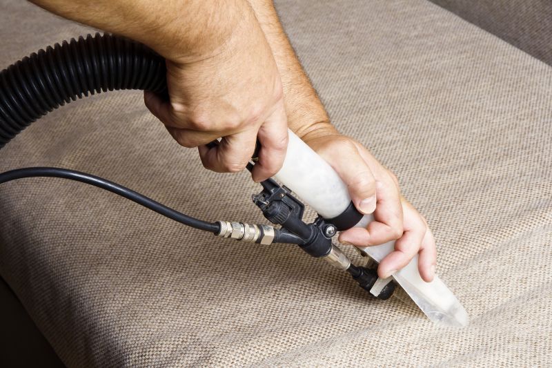 Couch Cleaning Service detail