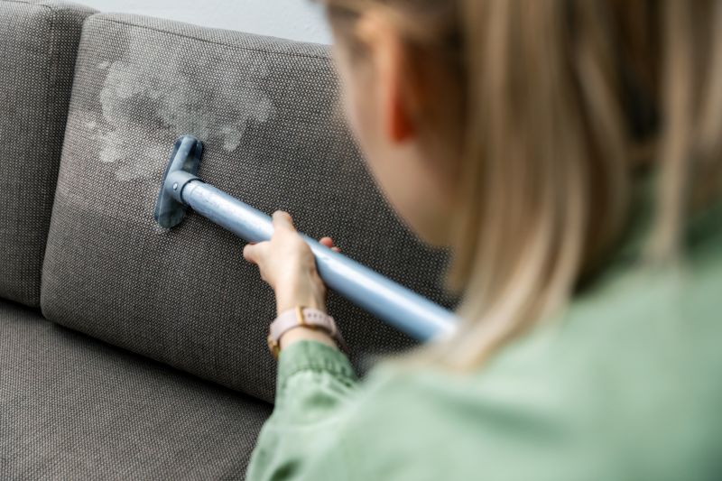 Couch Cleaning Service detail