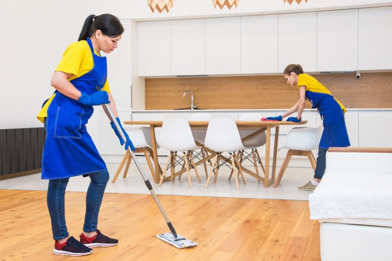 Move Out Cleaning Service detail