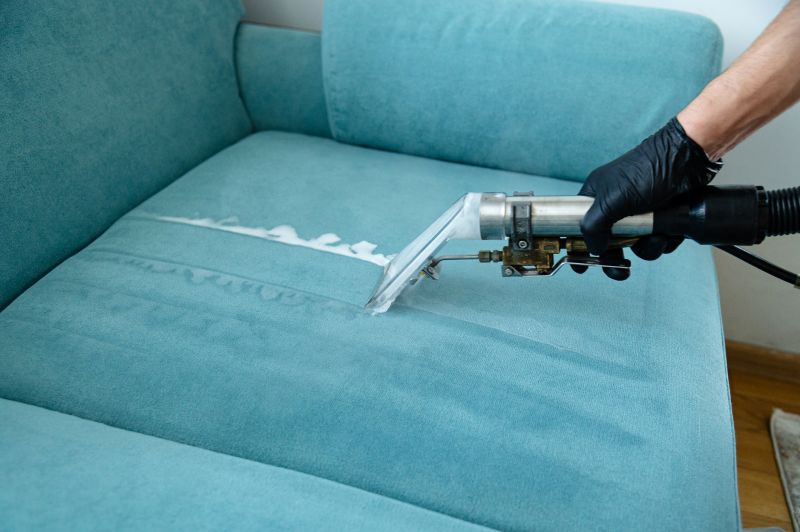Upholstery Cleaning Service detail