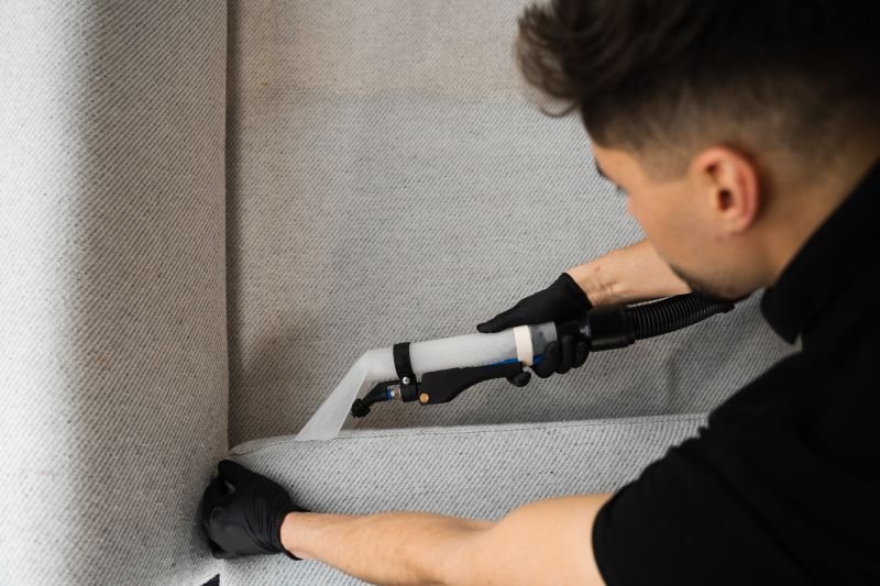 Upholstery Cleaning Service detail
