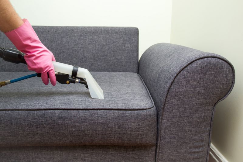 Upholstery Cleaning Service detail