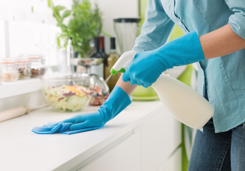 Kitchen Sanitization