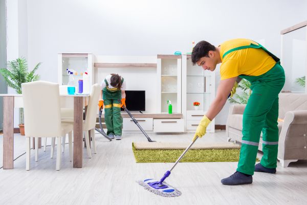Biweekly House Cleaning in Albany